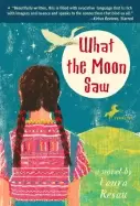 Image of what the moon saw