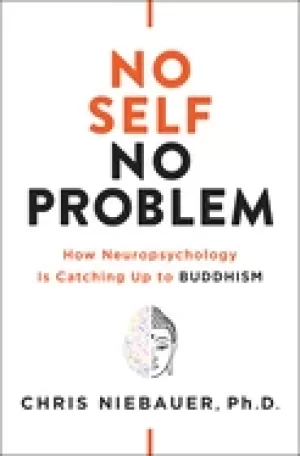 Image of no self no problem how neuropsychology is catching up to buddhism