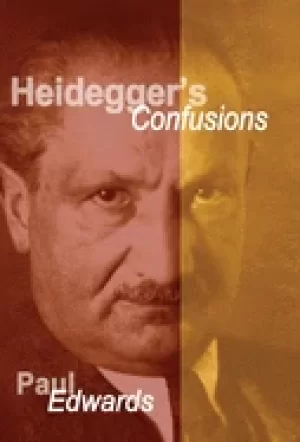 Image of heideggers confusions