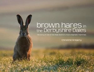 Image of Brown hares in the Derbyshire Dales by Christine Gregory