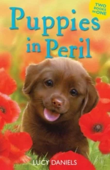 Image of Puppies in Peril by Lucy Daniels Book