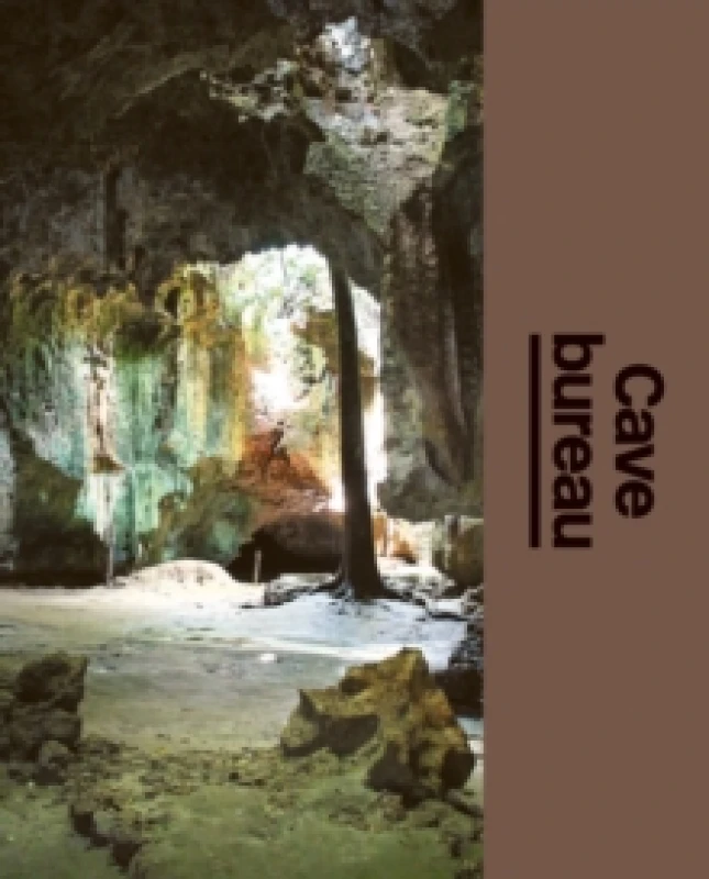 Image of Cave bureau : The Architects Studio Hardback