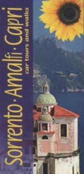 Image of Landscapes of Sorrento Amalfi and Capri by Julian Tippett Book