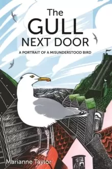 Image of The Gull Next Door : A Portrait of a Misunderstood Bird