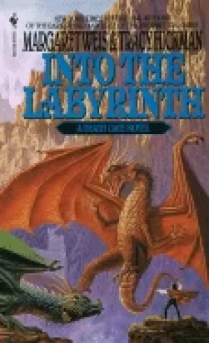 Image of into the labyrinth