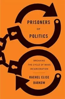 Image of Prisoners of Politics : Breaking the Cycle of Mass Incarceration