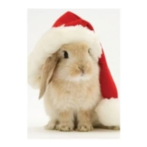 Image of Santa Bunny Holiday Half Notecard