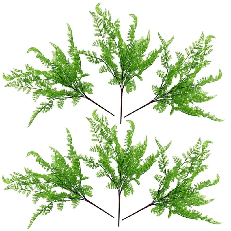 Image of Leaf 6 x 50cm Southern Wood Fern Bush Dark Green Plant