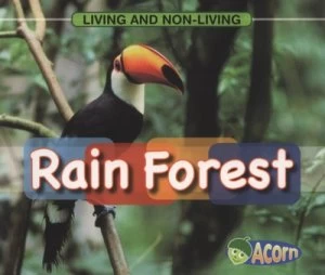 Image of Rainforest by Cassie Mayer Book
