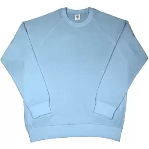 image of SG Mens Raglan Sleeve Crew Neck Sweatshirt (S) (Sky Blue)