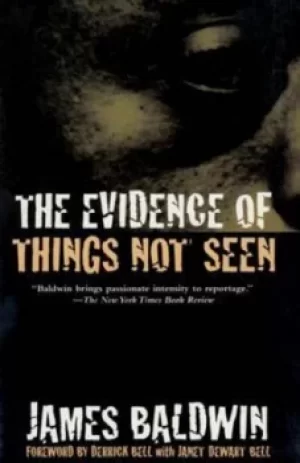Image of The evidence of things not seen by James Baldwin