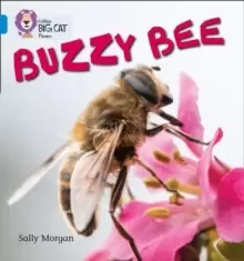 Image of Buzzy Bees : Band 04/Blue