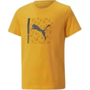 image of Puma Sports Tee B - Orange