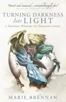 Image of Turning darkness into light by Marie Brennan