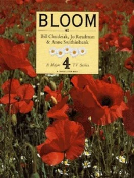 Image of Bloom by Bill Chudziak and Joanna Readman and Anne Swithinbank and Christopher Smith and Channel Four Television Company Hardback