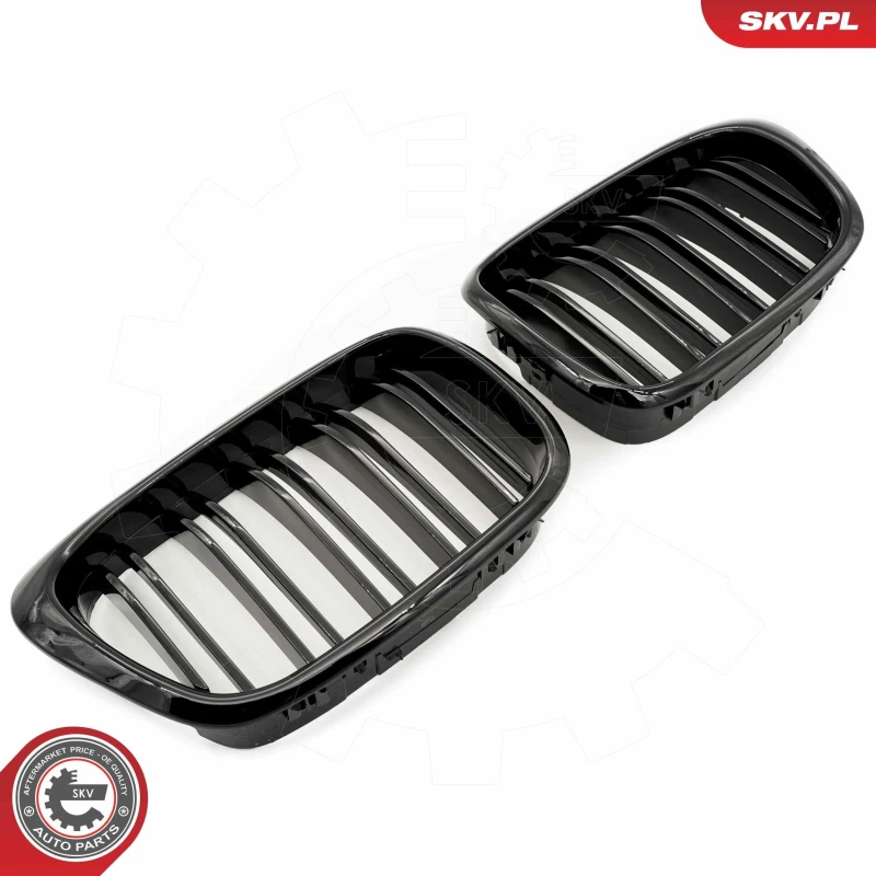 Image of ESEN SKV Radiator Grille ESEN SKV 66SKV161