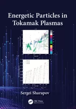 Image of Energetic Particles in Tokamak Plasmas