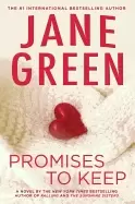 Image of promises to keep a novel