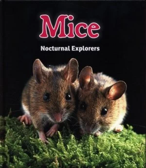 Image of Mice by Rebecca Rissman Hardback