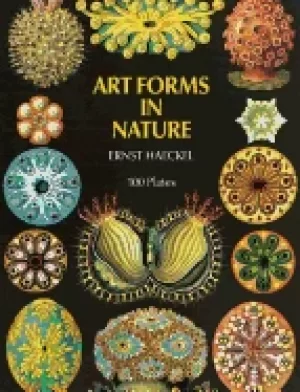 Image of art forms in nature