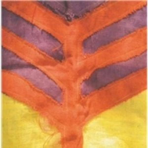 Image of Yeah Yeah Yeah Show Your Bones CD