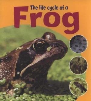 Image of The Life Cycle of a Frog by Ruth Thomson Book