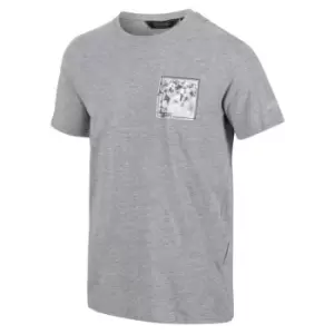 Image of Regatta Cline VI T-Shirt - SilverGryMrl