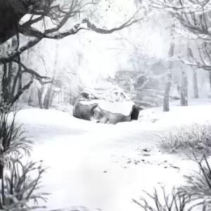 Image of Weezer SZNZ: Winter CD multicolor