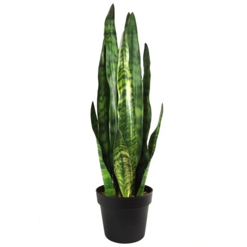 Image of Leaf 70cm Artificial Sansevieria Zeylanica Plant Green unisex