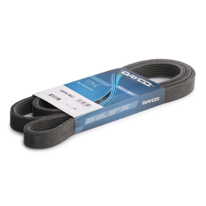 Image of DAYCO 6DPK1853 V-ribbed belt V-Ribbed Belts (305)