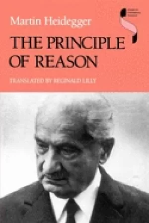 Image of principle of reason