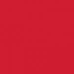 Image of Crimson Matt Acrylic 2440 x 1200mm