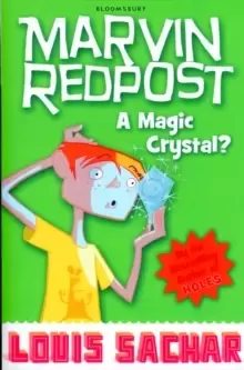Image of A Magic Crystal?