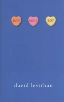 Image of Boy Meets Boy by David Levithan Hardback