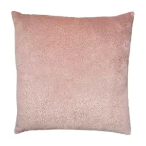 image of Malini Bingham Velvet Cushion in Pink / Small