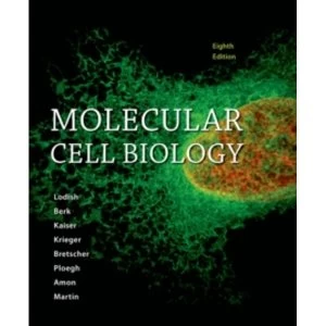 Image of Molecular Cell Biology
