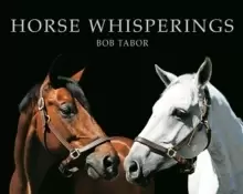Image of Horse Whisperings : Portraits by Bob Tabor
