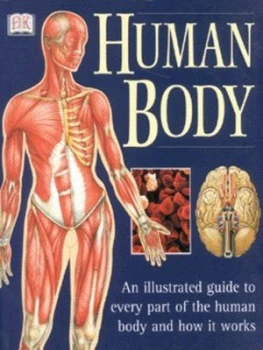 Image of Human Body. by Ann Baggaley Paperback
