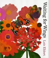 Image of waiting for wings
