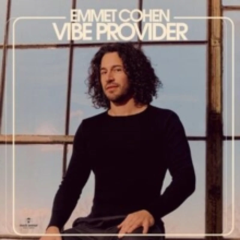 Image of Vibe Provider Vinyl