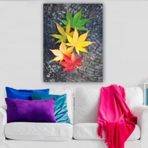 Image of 552449134_70100 Multicolor Decorative Canvas Painting