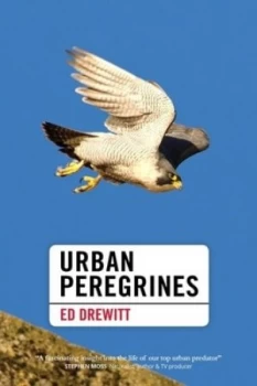 Image of Urban Peregrines by Ed Drewitt Hardback