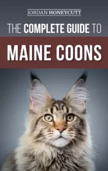 Image of The Complete Guide to Maine Coons : Finding, Preparing for, Feeding, Training, Socializing, Grooming, and Loving Your New Maine Coon Cat