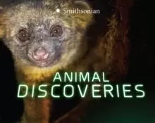 Image of Animal Discoveries
