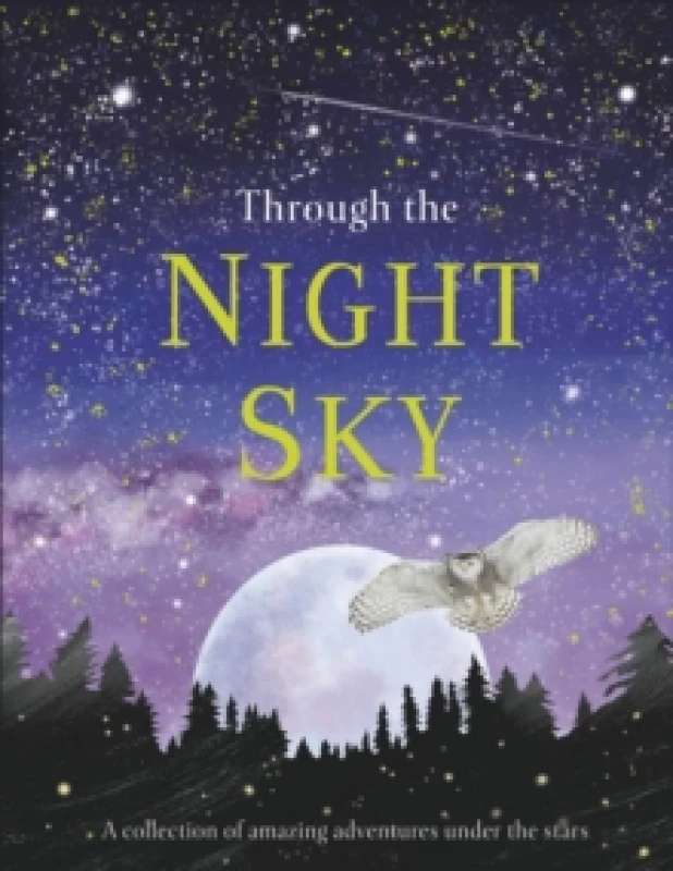 Image of DK Through the Night Sky Book Multi unisex