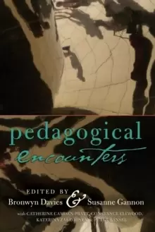Image of Pedagogical Encounters