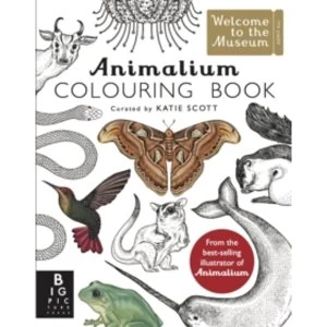 Image of Animalium Colouring Book