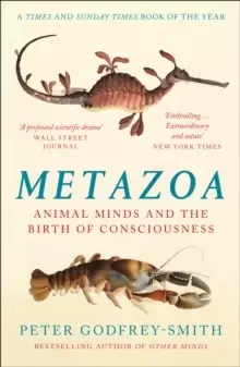 Image of Metazoa : Animal Minds and the Birth of Consciousness