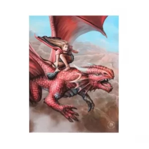 Image of 19x25 Sky Surfer Canvas by Anne Stokes