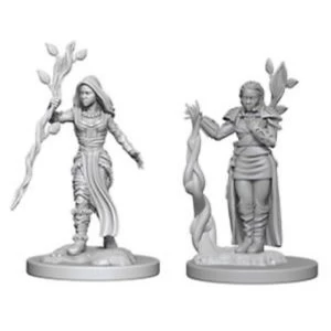 Image of Dungeons & Dragons Nolzur's Marvelous Unpainted Miniatures Human Female Druid